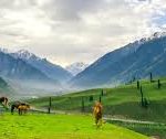 Baggage Scanner on rent in Kashmir