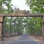 Baggage Scanner on Rent in Chhattisgarh