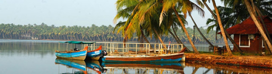 Baggage Scanner on Rent in Kasaragod