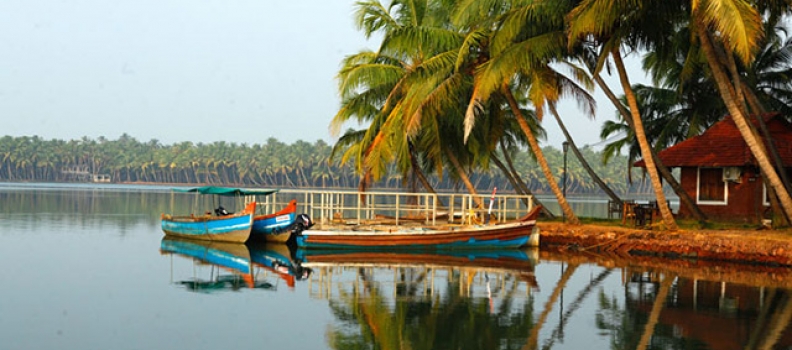 Baggage Scanner on Rent in Kasaragod