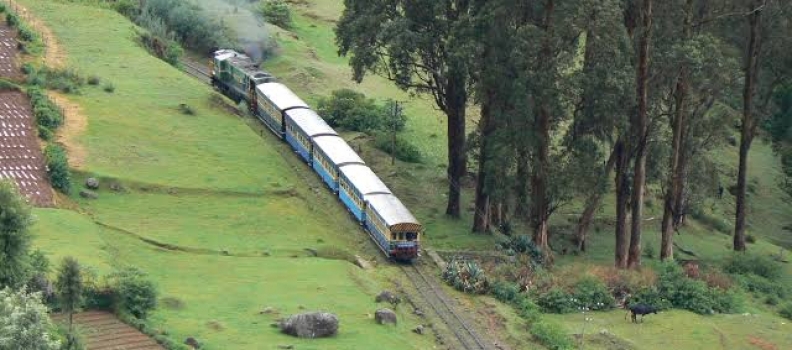 Baggage Scanner on Rent in Nilgiris